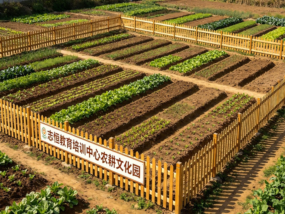 长春叛逆孩子全封闭管教学校联系方式,家长选校避坑指南